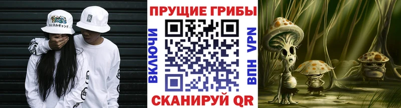 Галлюциногенные грибы мицелий  Шебекино 